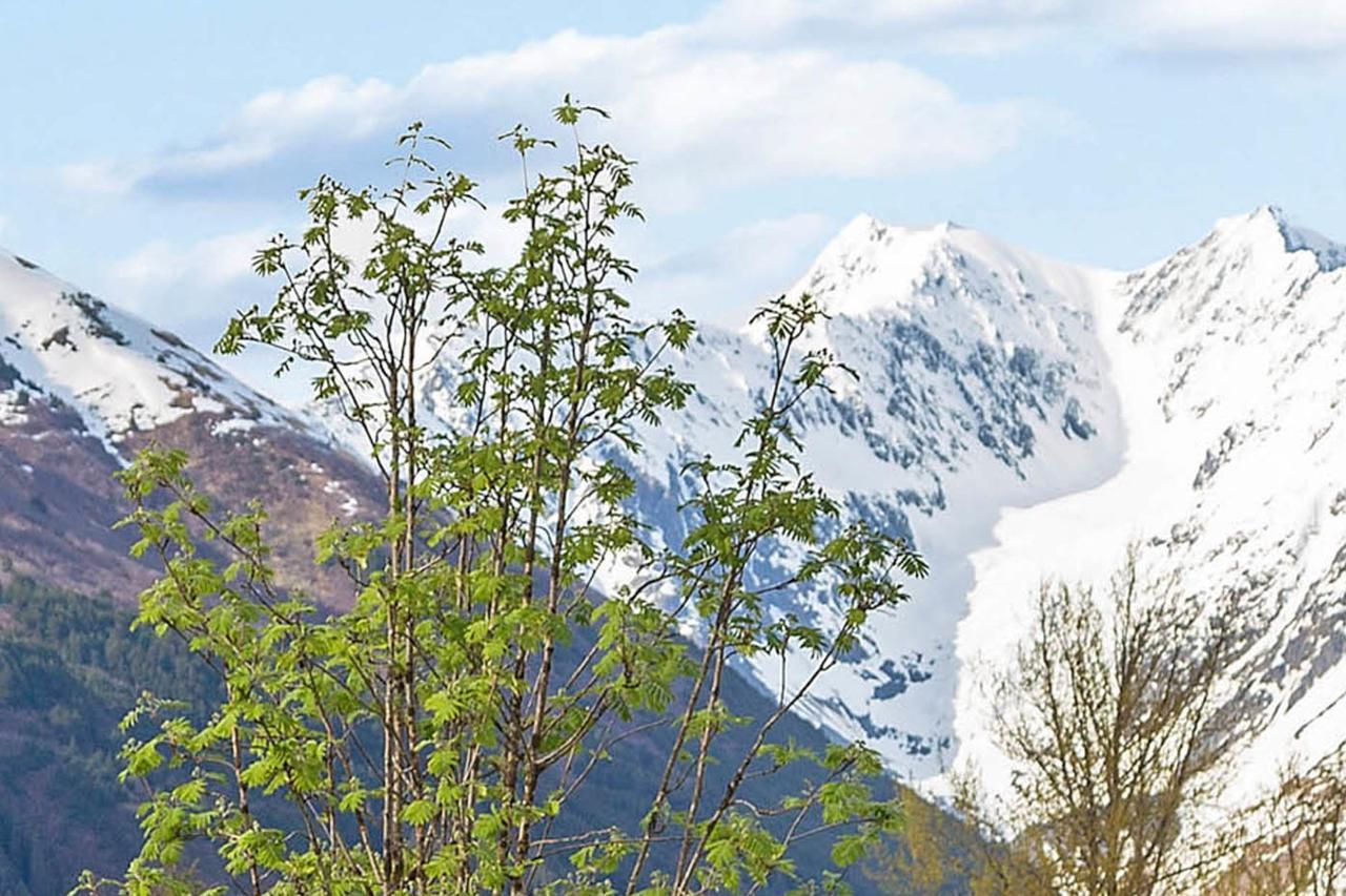 Snowbird 131-B Apartman Girdwood Kültér fotó