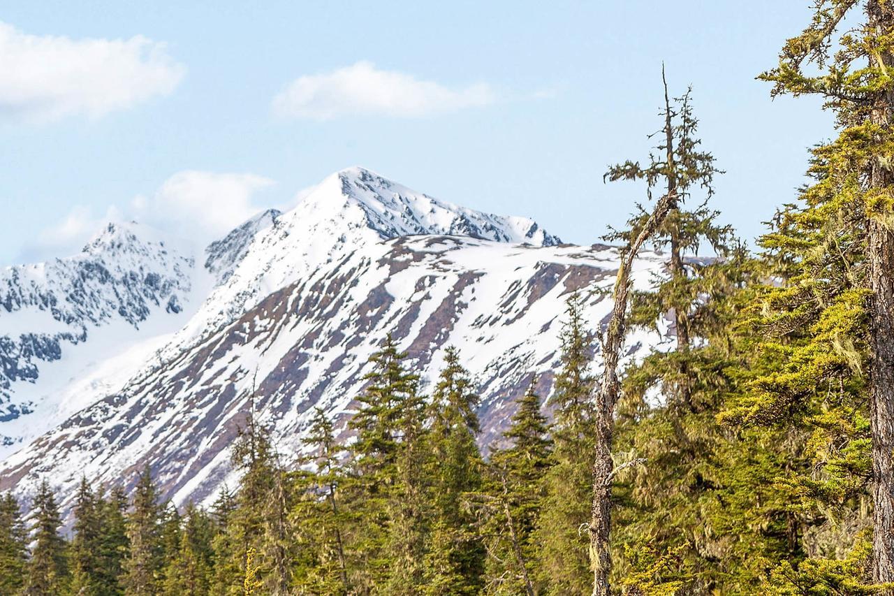 Snowbird 131-B Apartman Girdwood Kültér fotó